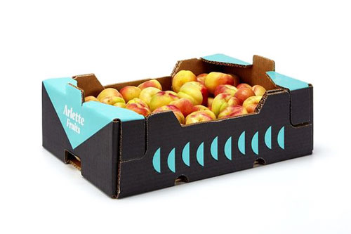 جعبه پنج لا با سلفون برای میوه صادراتی