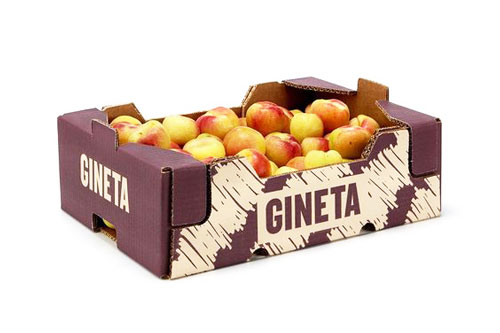 جعبه پنج لا مخصوص میوه